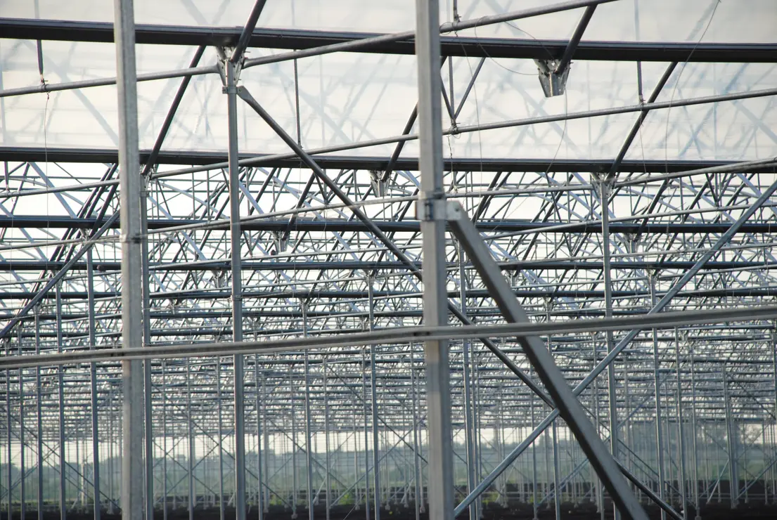 Estatico_00010-scaled