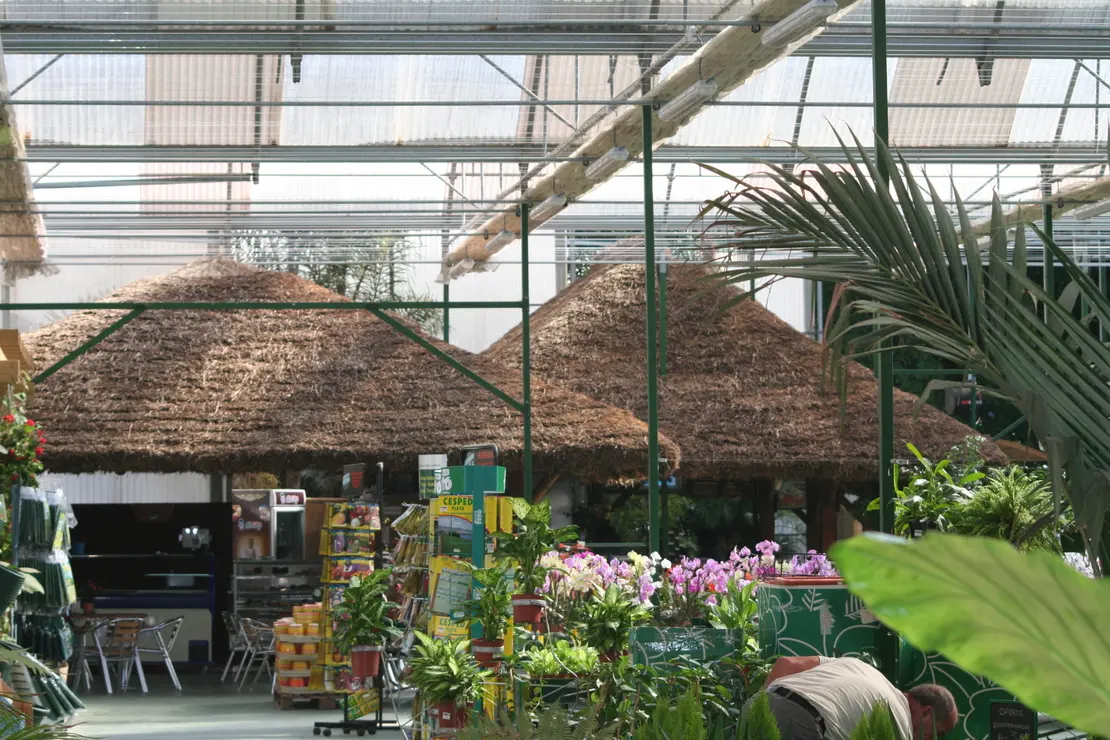 Garden_00001