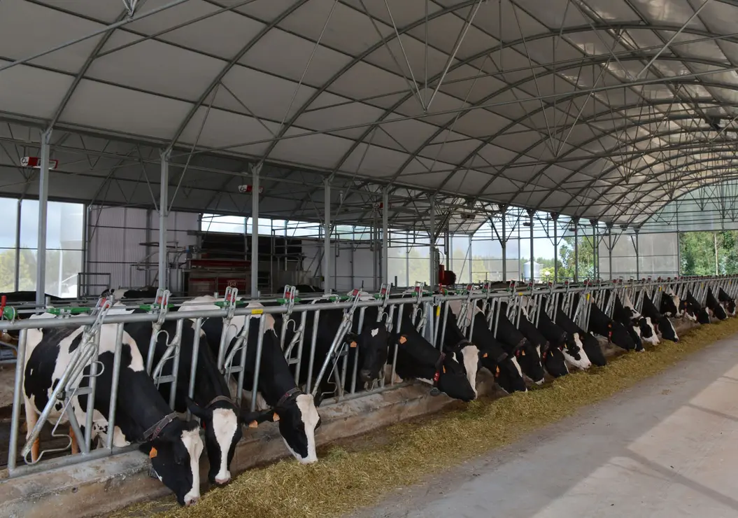Naves ganaderas