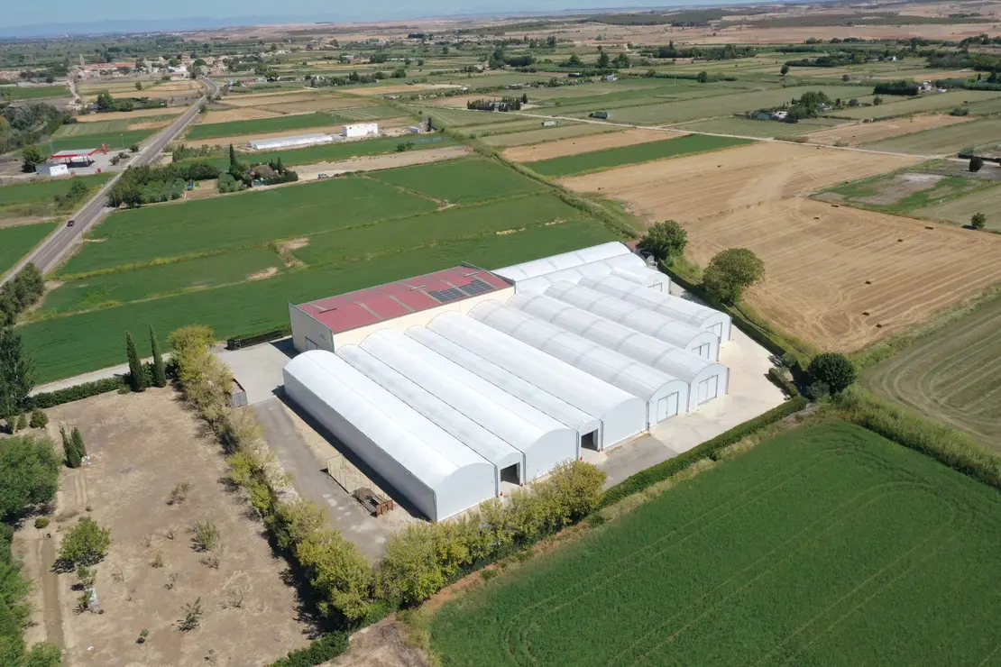 Almac&eacute;n