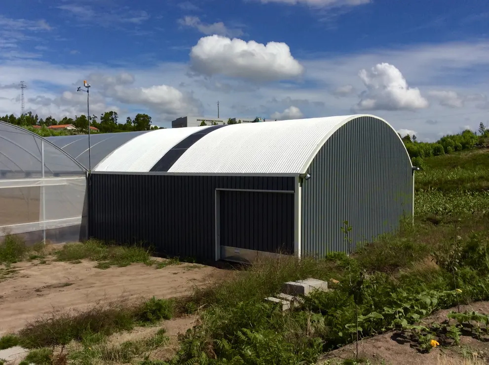 Almacen_00021