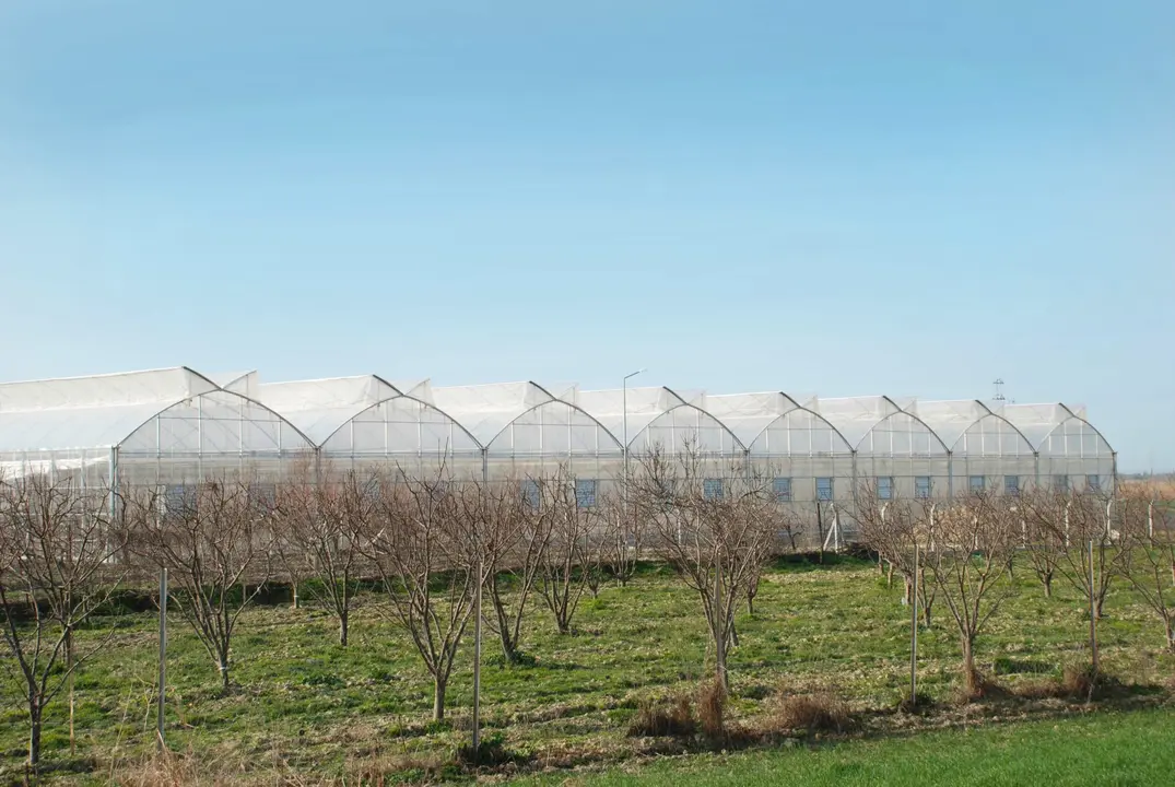 Agricultura sostenible