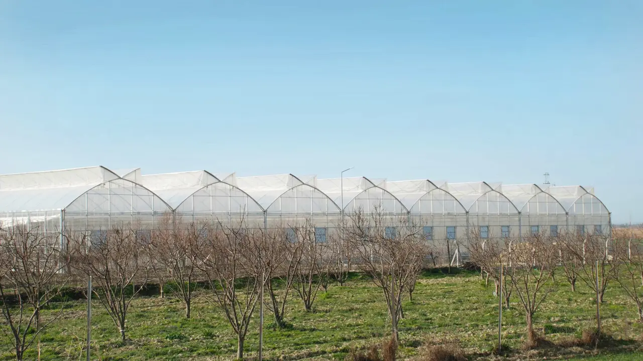 Agricultura sostenible