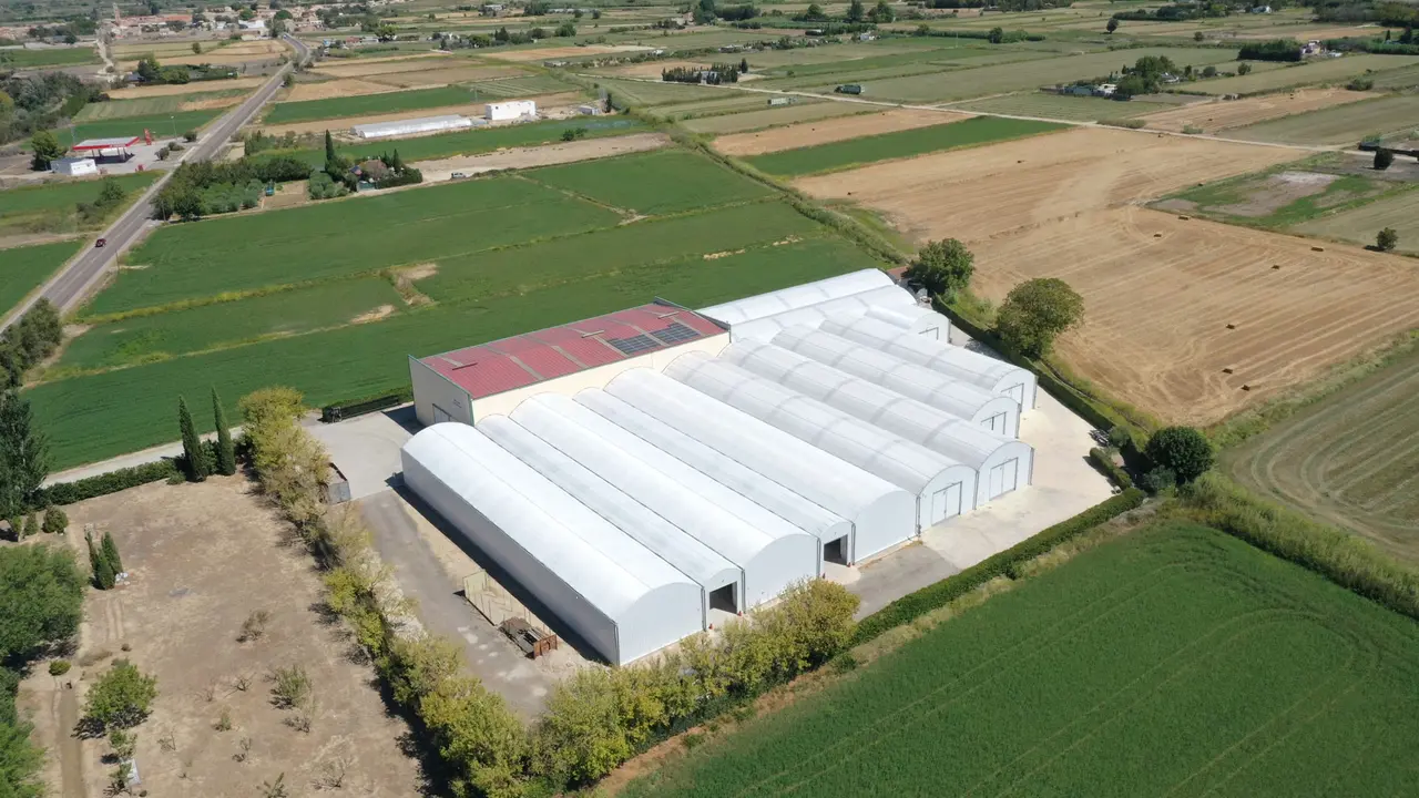 Almac&eacute;n