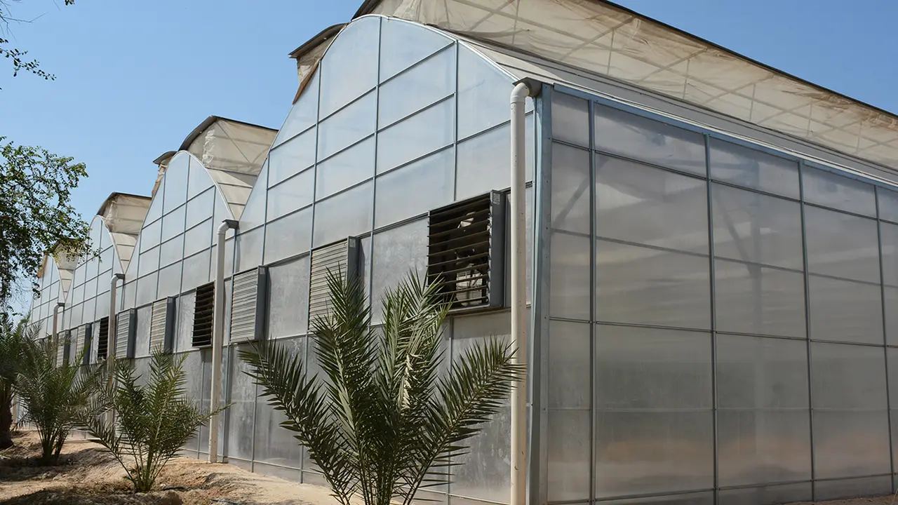Emiratos &Aacute;rabes