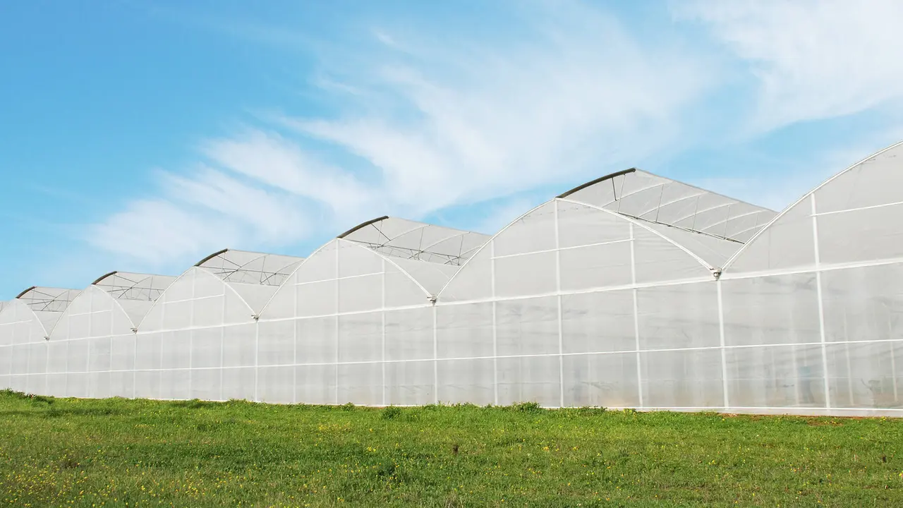 Construyendo el futuro de la agricultura