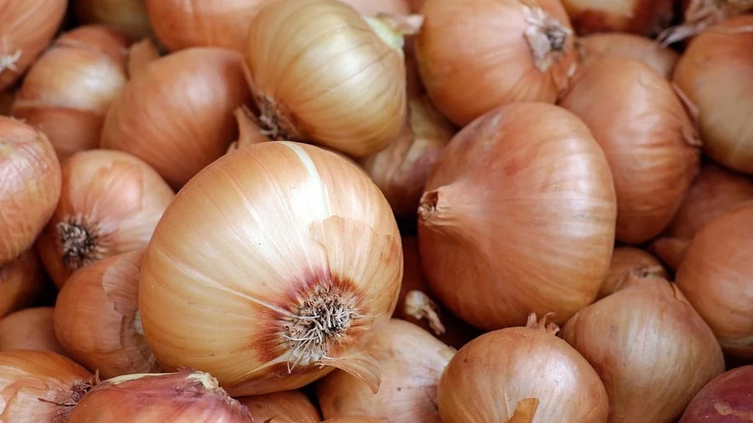 Cebollas