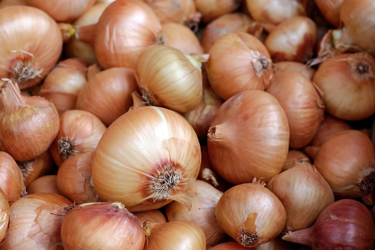 Ajos y cebollas
