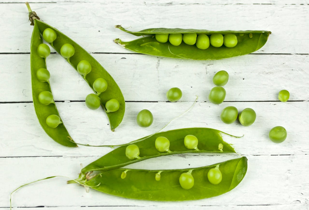 Plantar guisantes en diciembre