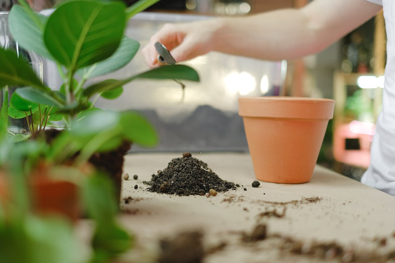 Tipos de fertilizantes