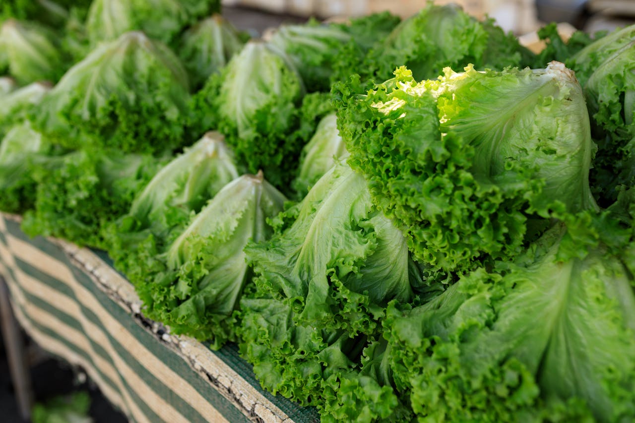 Beneficios de la lechuga