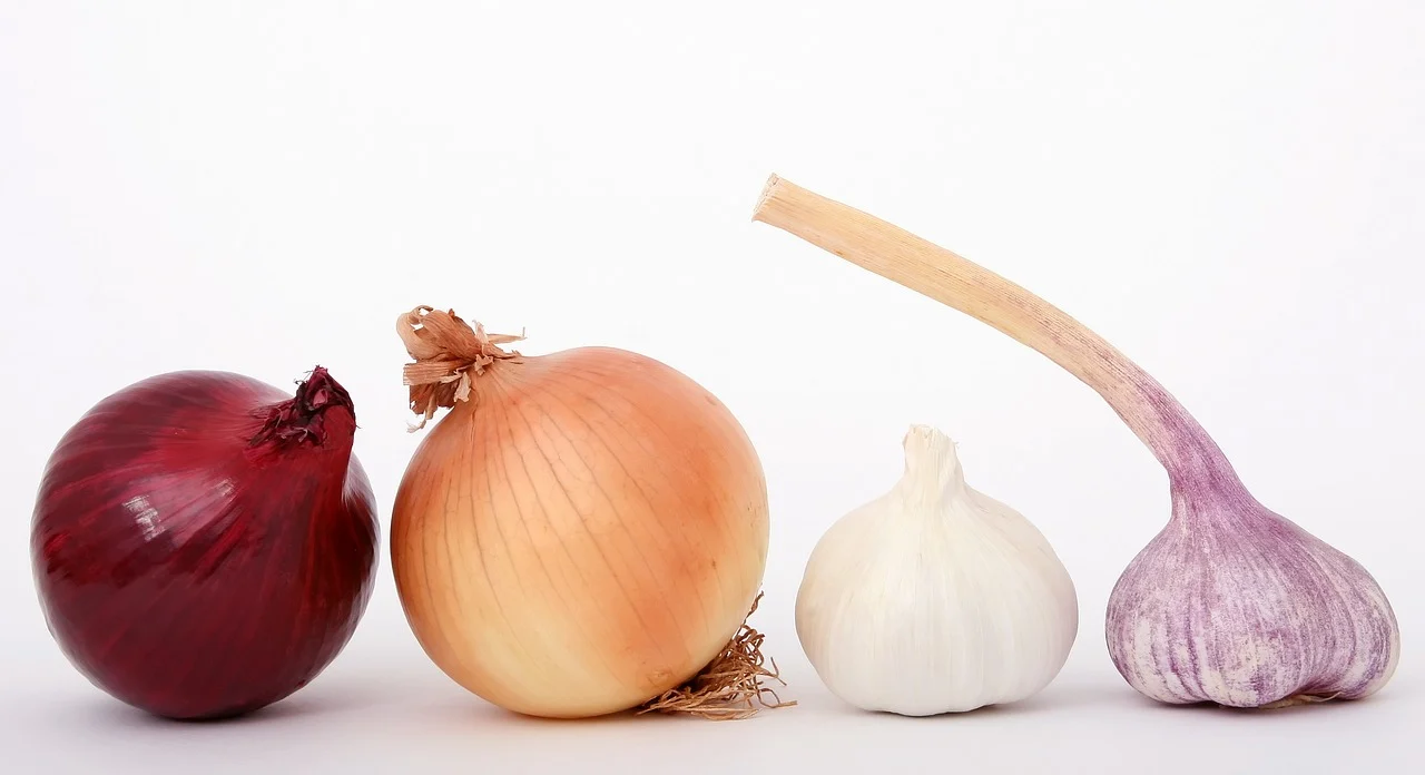 ¿Qué es la cebolla?