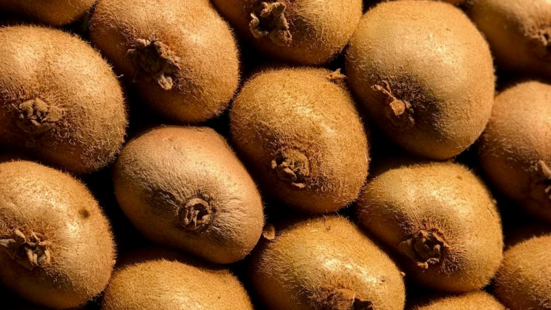 ¿Cómo se planta un kiwi por esqueje?