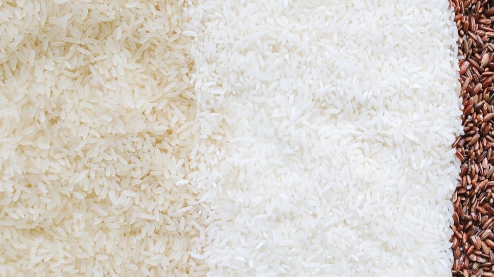¿Cómo cultivar arroz paso a paso?