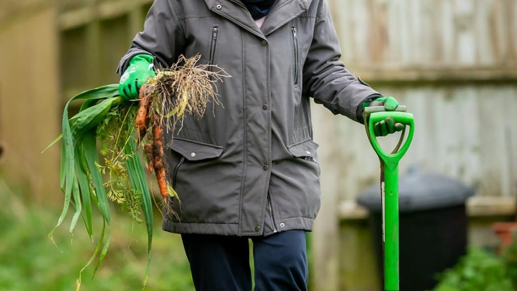 Cultivos y hortalizas que puedes plantar en noviembre