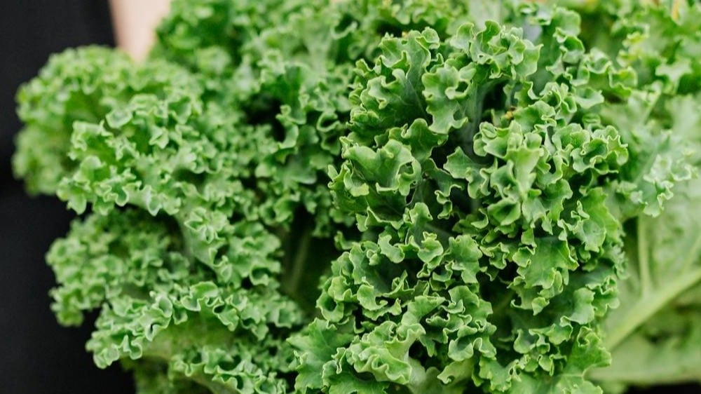 Kale
