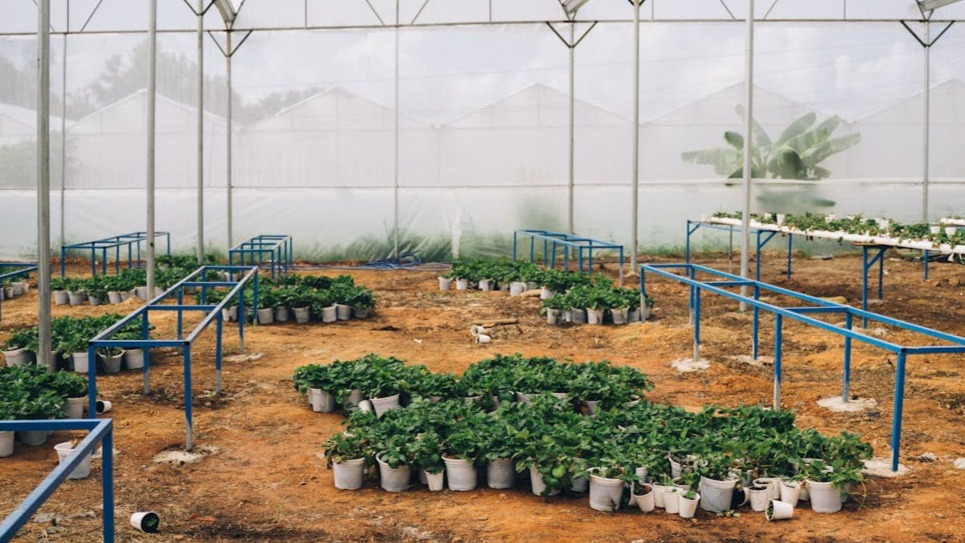 ¿Cómo evitar la erosión del suelo agrícola?