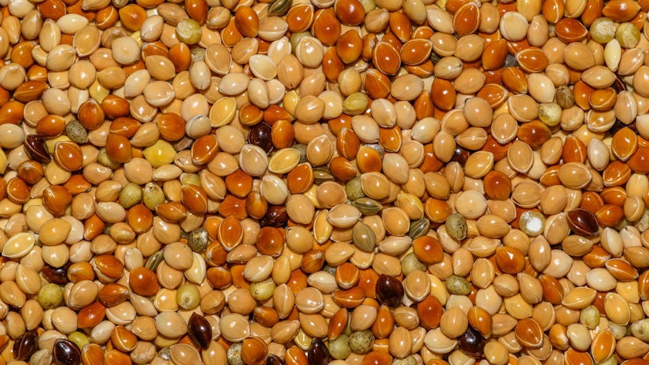 ¿Qué es el sorgo?