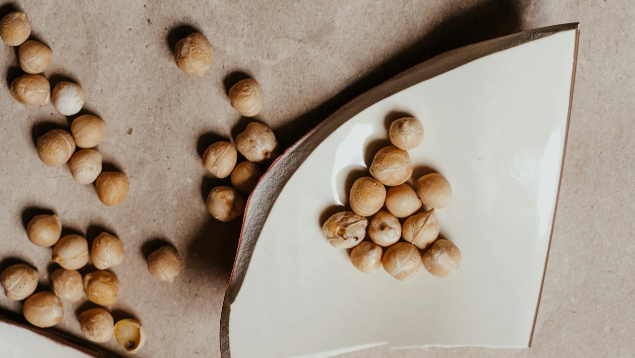 ¿Cómo cultivar garbanzos paso a paso?