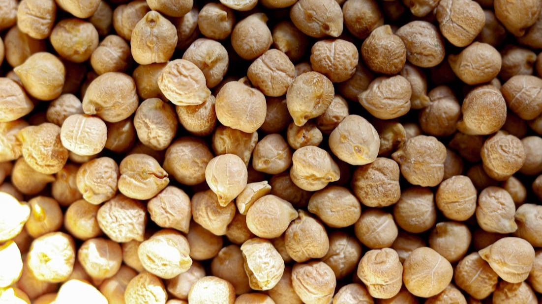 ¿Cuándo se cultiva el garbanzo?