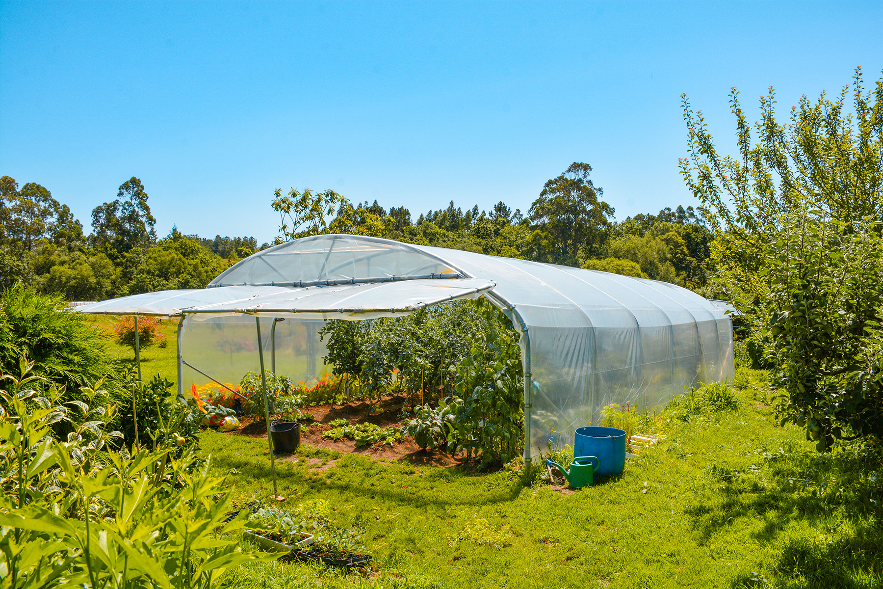 ¿Por qué es importante la calidad de los invernaderos de jardín?