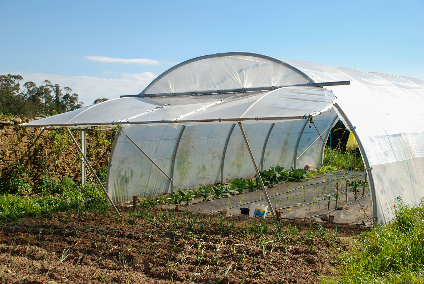 Invernadero de jardín adaptado a todo tipo de terrenos y cultivos