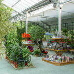 Centros de Jardinería