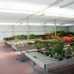 Centros de Jardinería