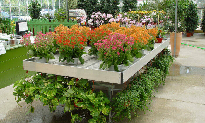 Mesa de cultivo 1,20×2,04 con fondo de inundación Sin Ruedas